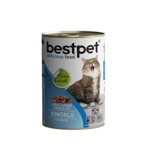 Bestpet Somonlu Jöleli Kedi Maması 415 G