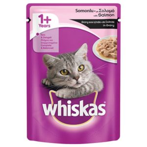 Whiskas Pouch Somonlu 100 G